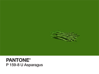 Asparagus Pantone PhonoRealism