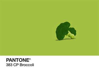 Broccoli Pantone PhonoRealism