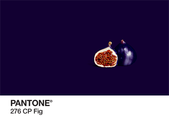 Figs Pantone PhonoRealism