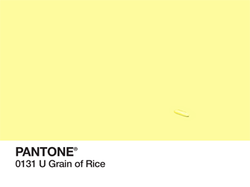 Grain of Rice Pantone PhonoRealism