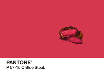 Blue Steak Pantone PhonoRealism