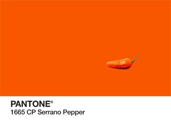 Serrano Pepper Pantone PhonoRealism