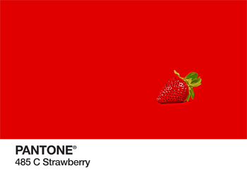 Strawberry Pantone PhonoRealism