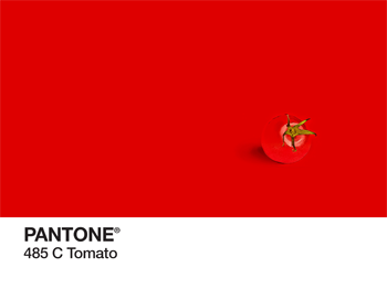 Tomato Pantone PhonoRealism