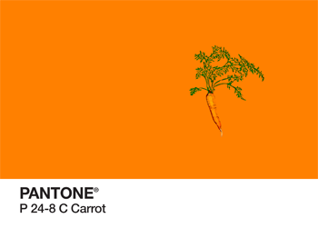 carrot Pantone PhonoRealism